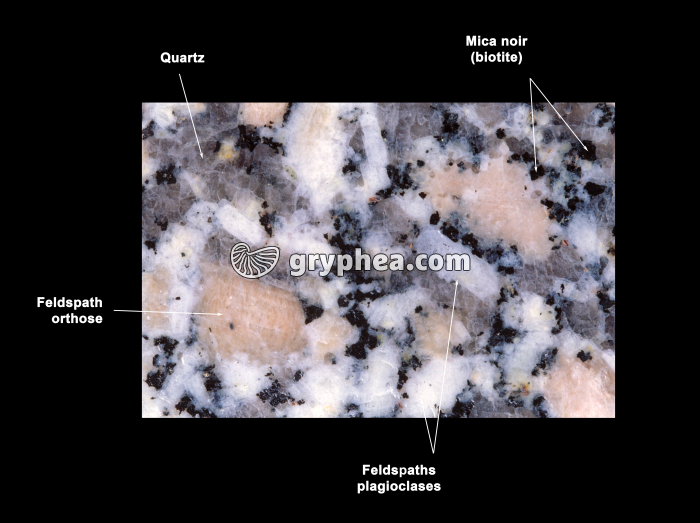 Granite rose avec annotations (minéraux, surface polie)  - gryphea.com